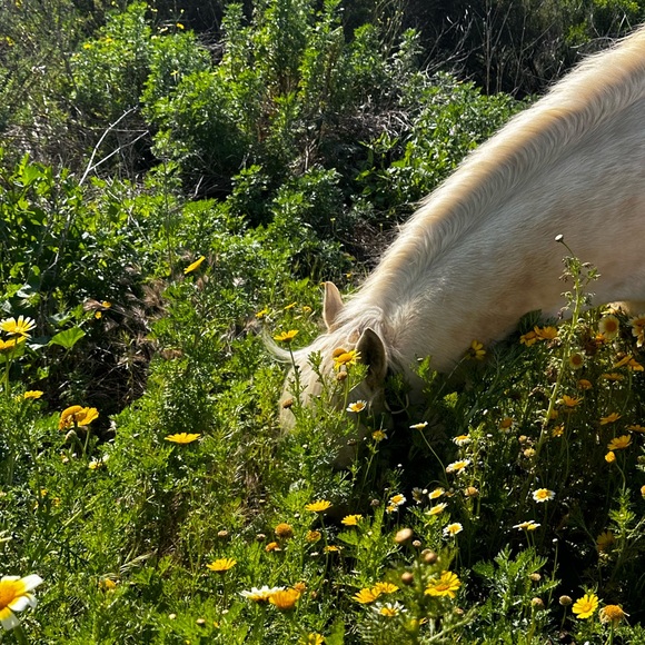 (^_−)−☆ - Picture 5 of 10